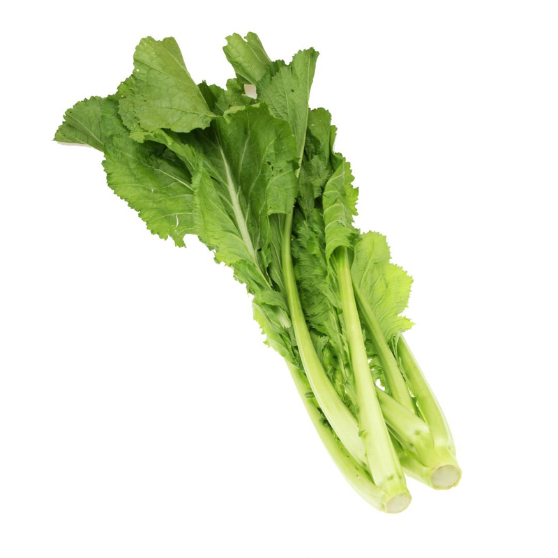 Map of the methods used to plant the balconies