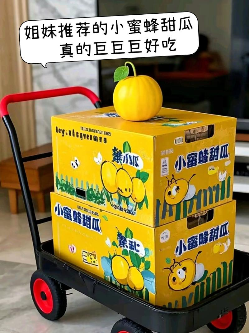 Northeast cucumber plantation technology