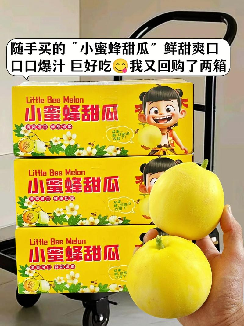 Northeast cucumber plantation technology