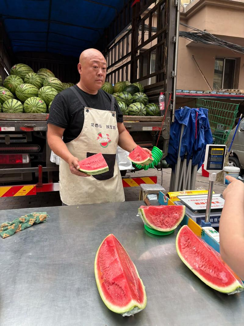 Northeast cucumber plantation technology