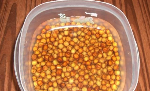 阳台生菜的种植方法图