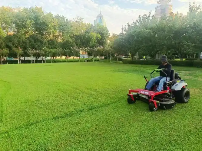 耙耙柑种植技术