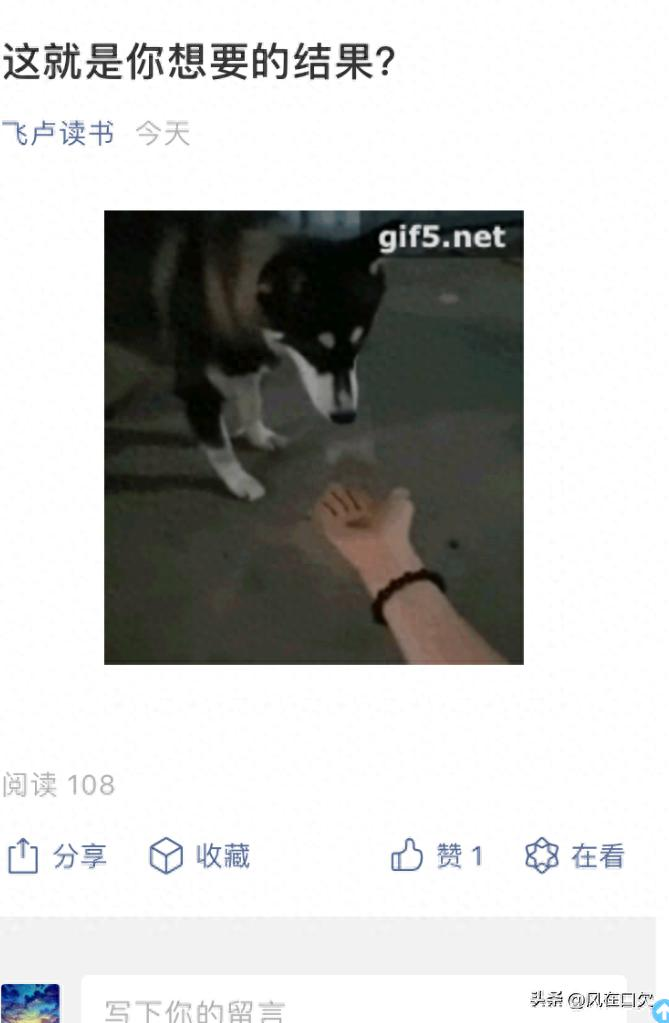 女生小说网站排名