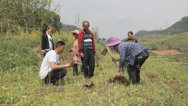 Plantation techniques