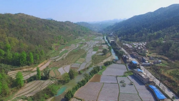 Plantation techniques