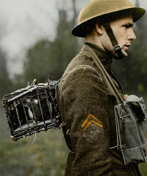 历史知识竞赛策划书