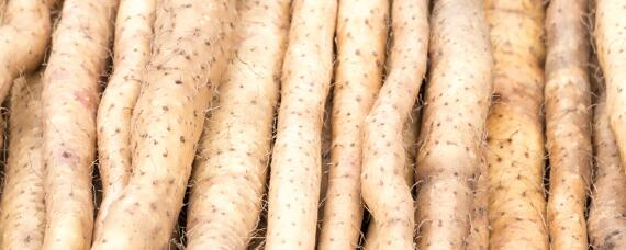 Plantation methods and techniques