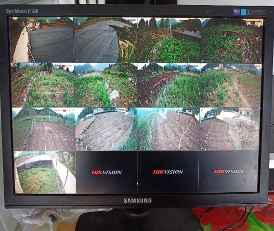 高海拔地区滇重楼种植技术