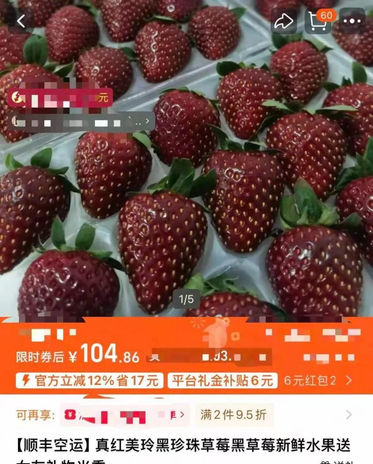 Milk strawberry cultivation techniques