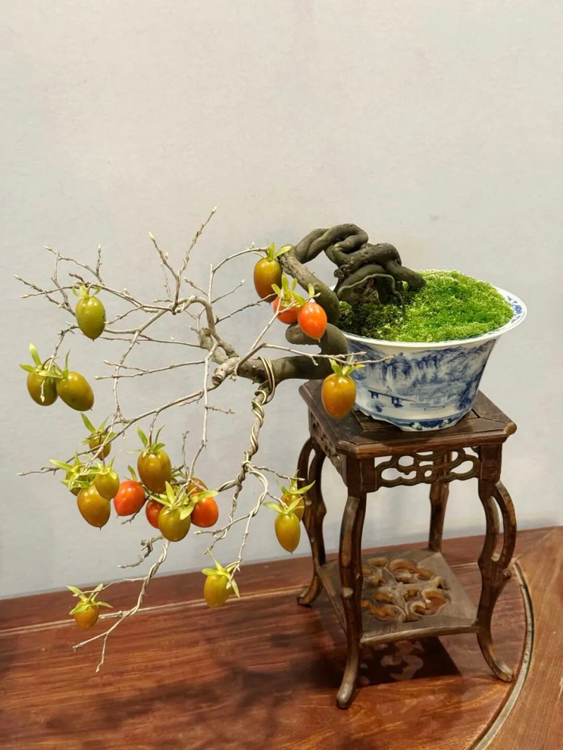 Technology for the cultivation of tomato seedlings