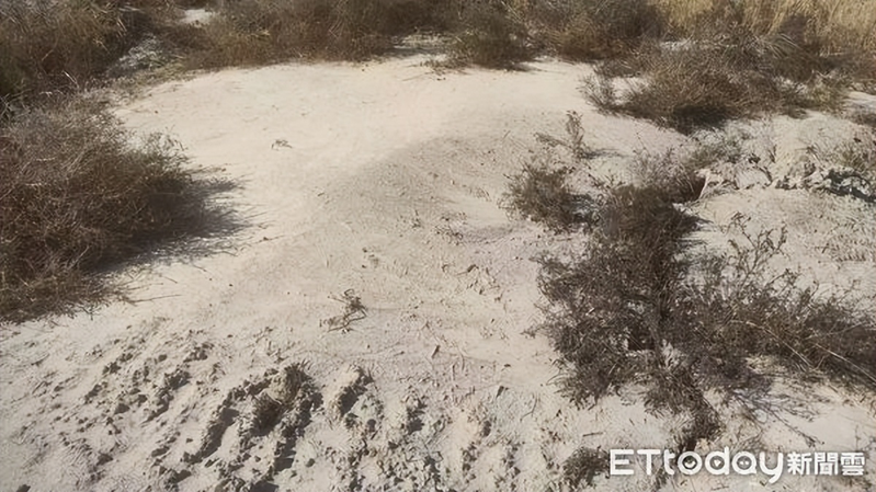 东北水稻种植技术