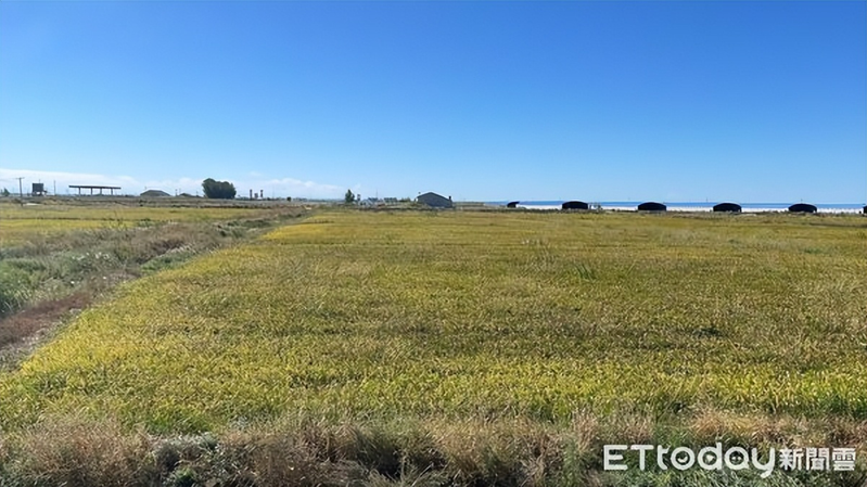 东北水稻种植技术