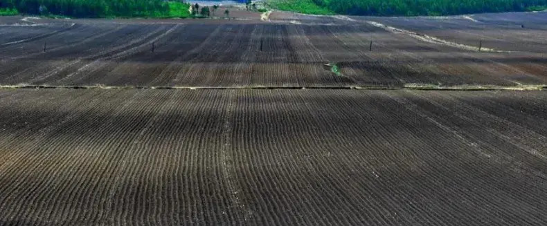 东北水稻种植技术
