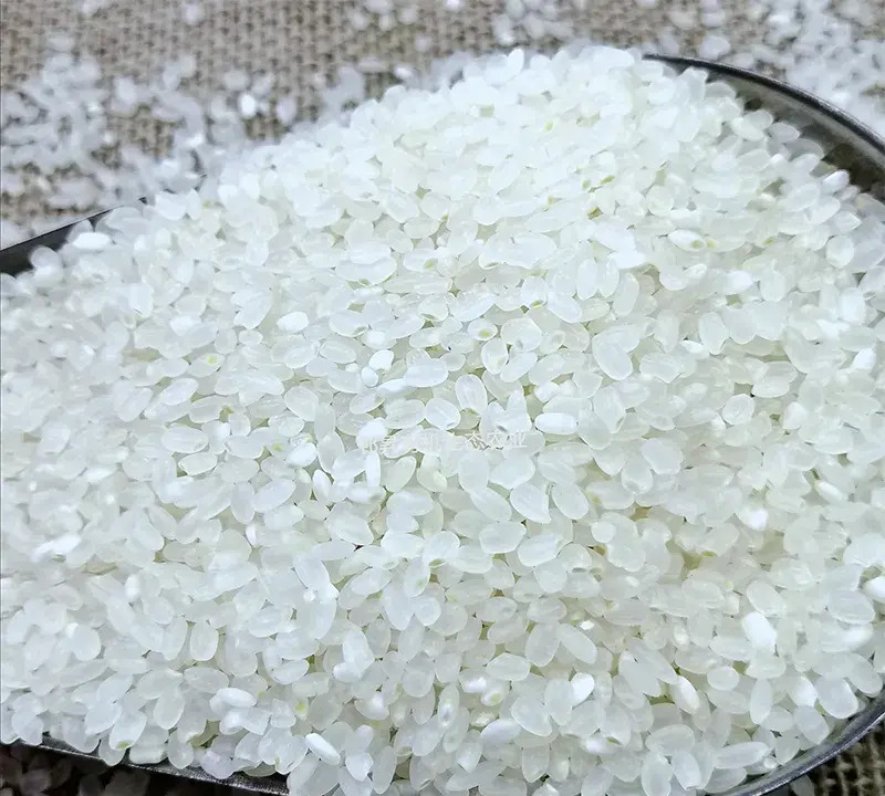 东北水稻种植技术