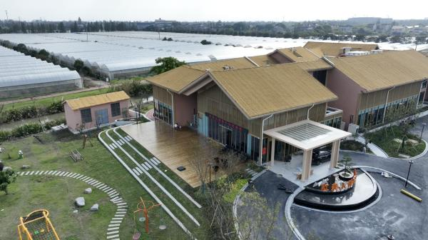 红美人柑橘的种植方法