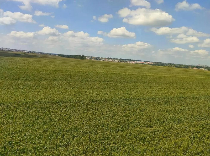 东北水稻种植技术