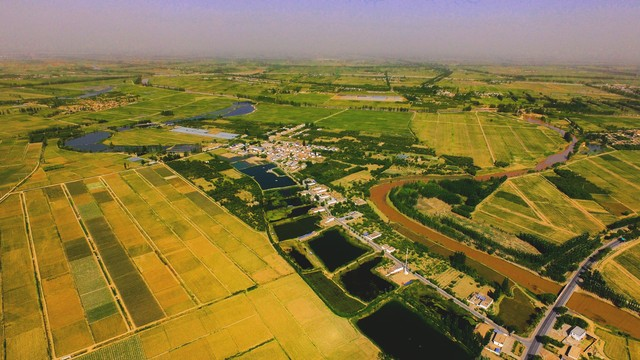 东北水稻种植技术