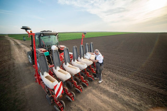 东北水稻种植技术