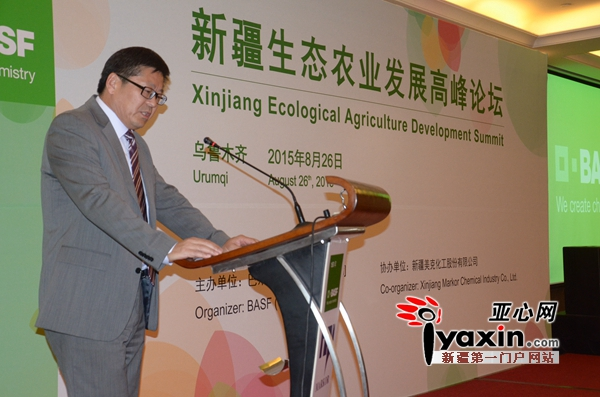 山东地膜土豆种植技术