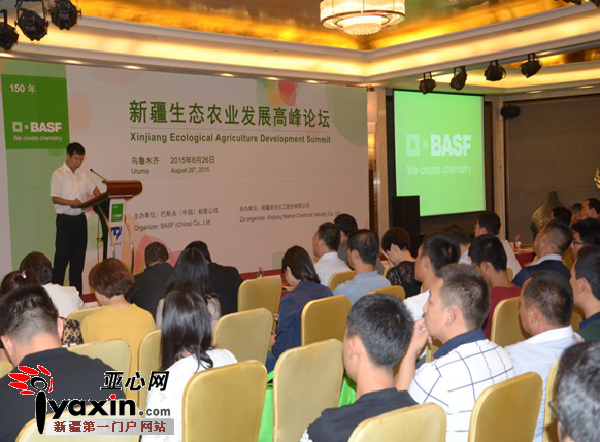 山东地膜土豆种植技术