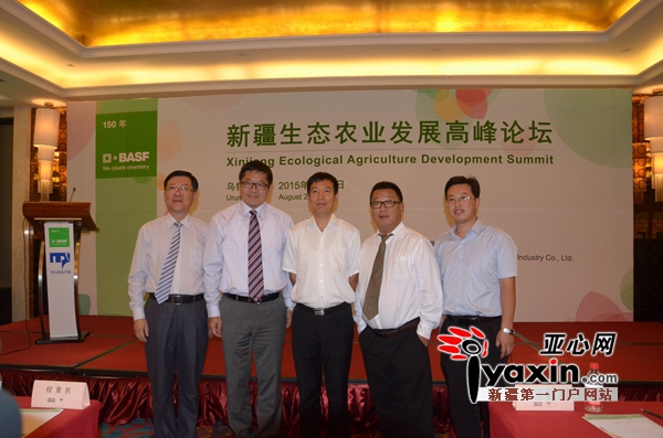 山东地膜土豆种植技术