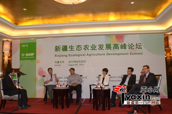 山东地膜土豆种植技术