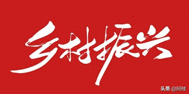 种植高经济价值植物