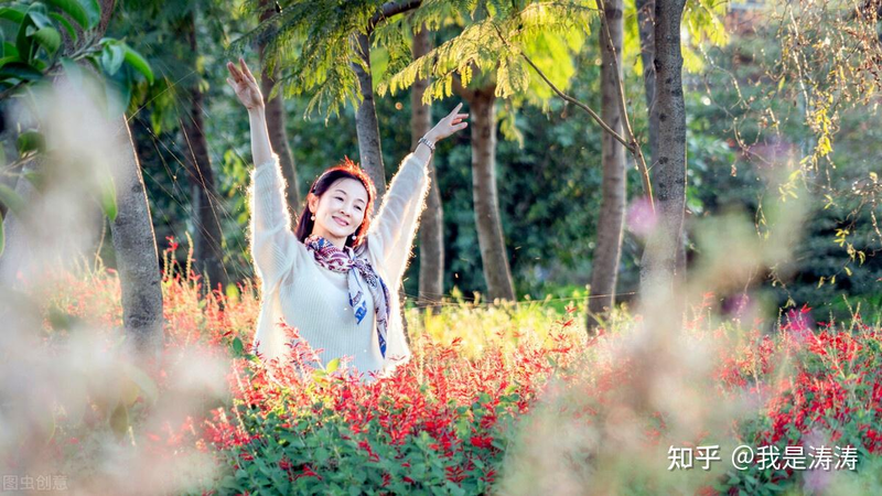 金字塔原理是什么