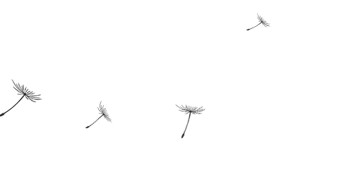 A fruit tree for beijing