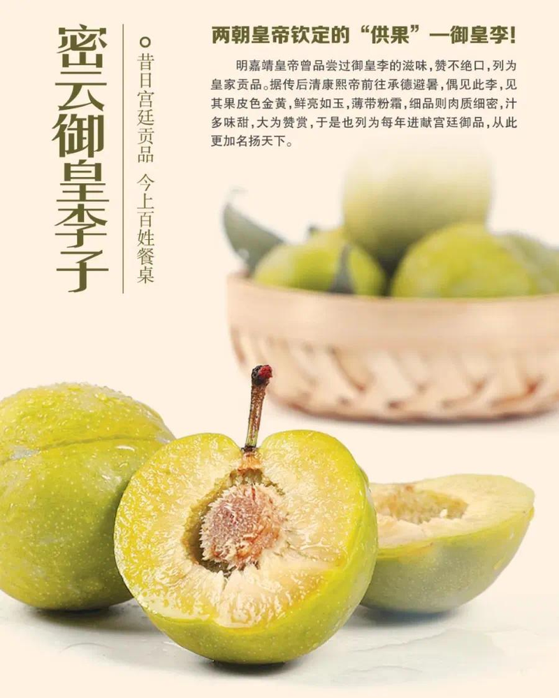 A fruit tree for beijing