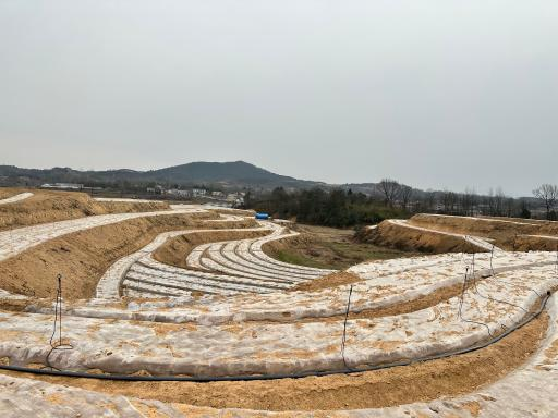 中药材种植技术研究所