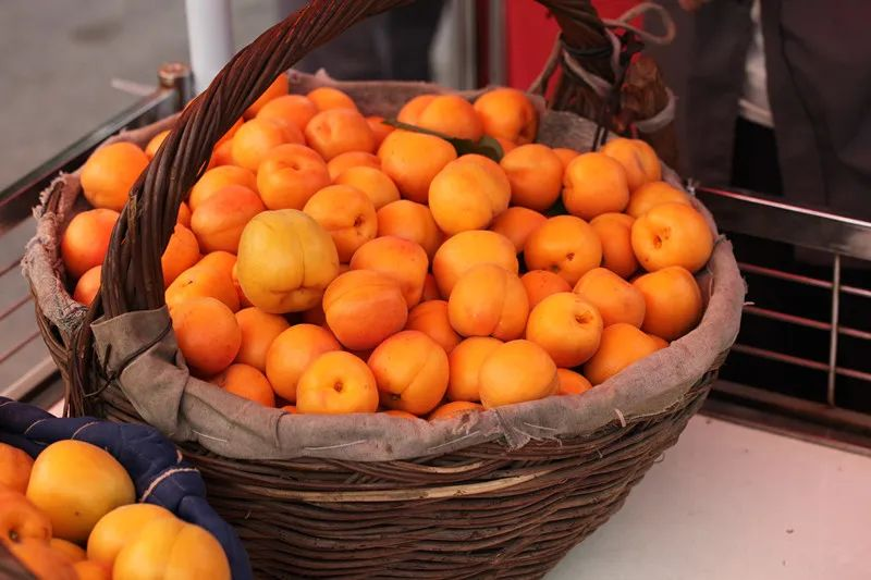 A fruit tree for beijing