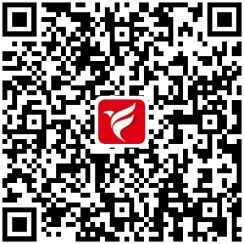 黄瓜露天种植技术