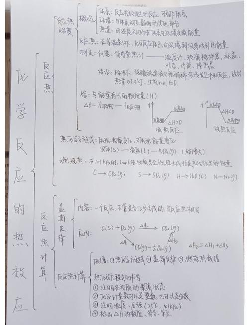 高中知识体系怎样构建
