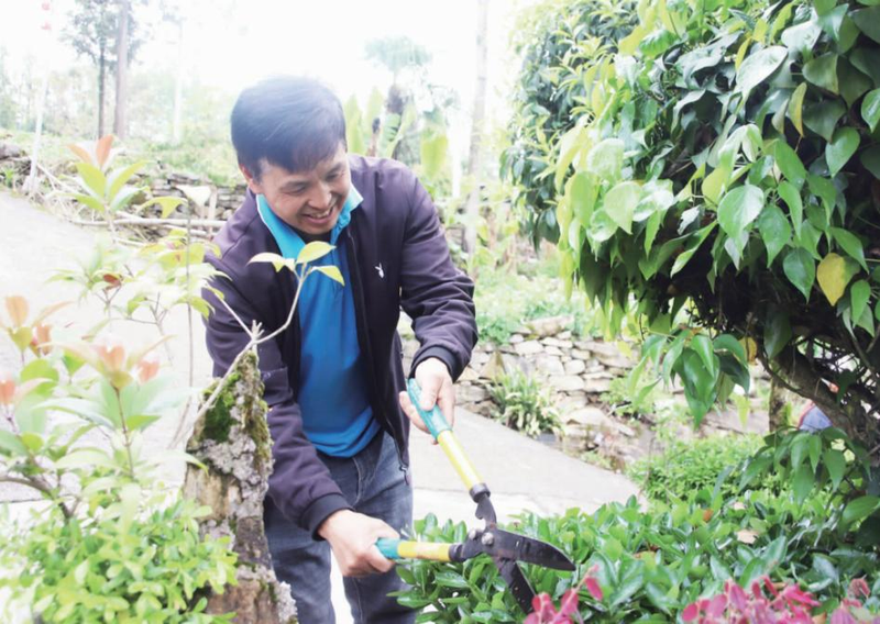 种植高经济价值植物
