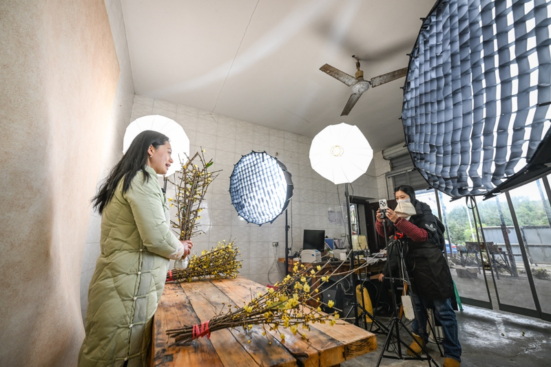 种植高经济价值植物