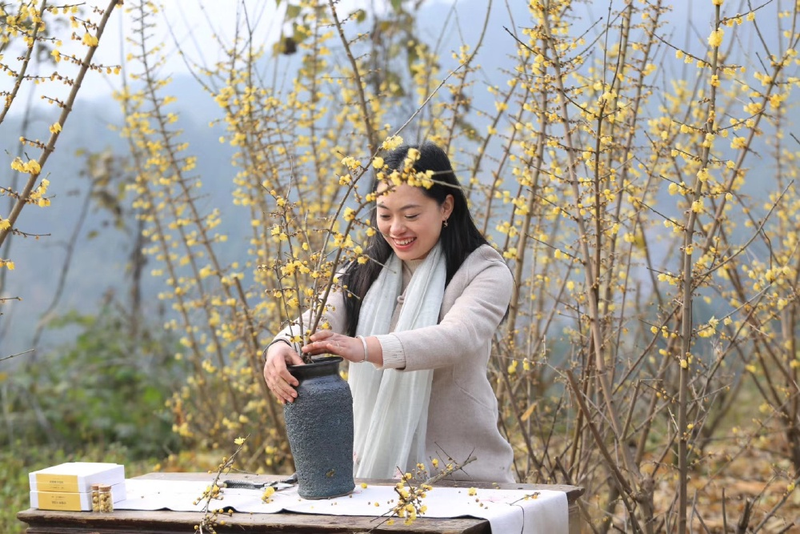 种植高经济价值植物