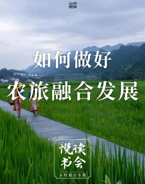 黄瓜露天种植技术