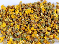 地苦胆种植技术