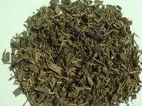 地苦胆种植技术