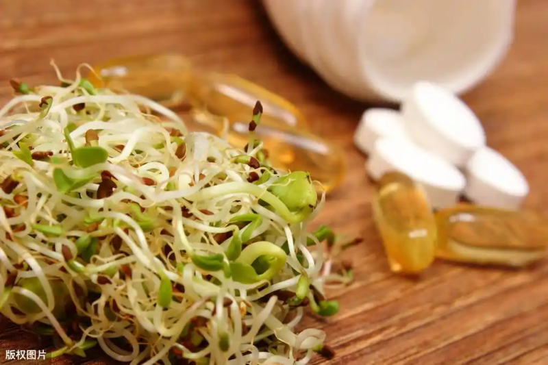 芽苗菜种植方法 技巧