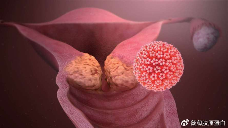 女性生理方面的知识