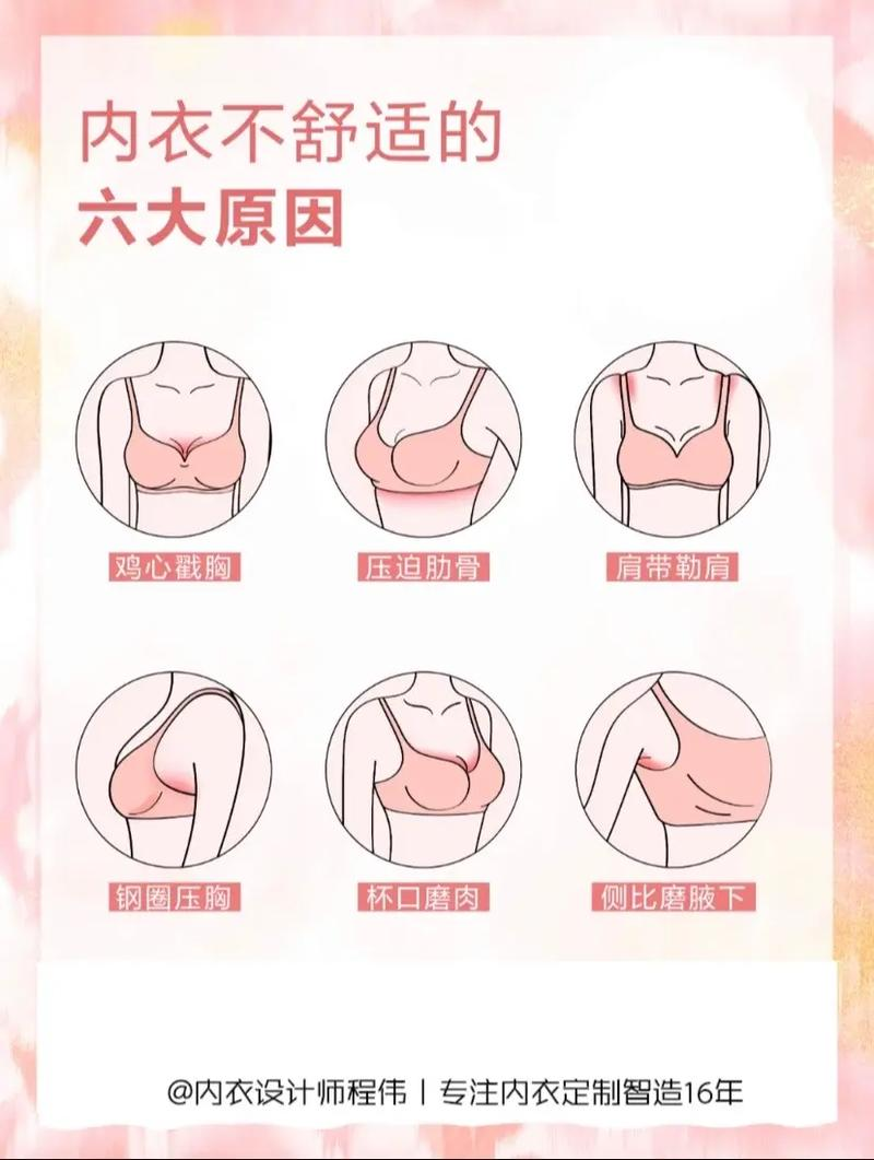内衣小知识图片大全