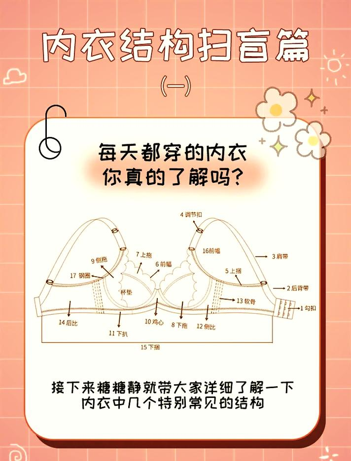内衣小知识图片大全