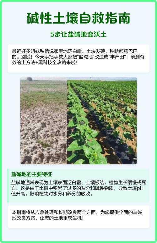 种植高经济价值植物