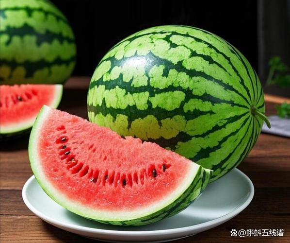 西瓜种植技术露天