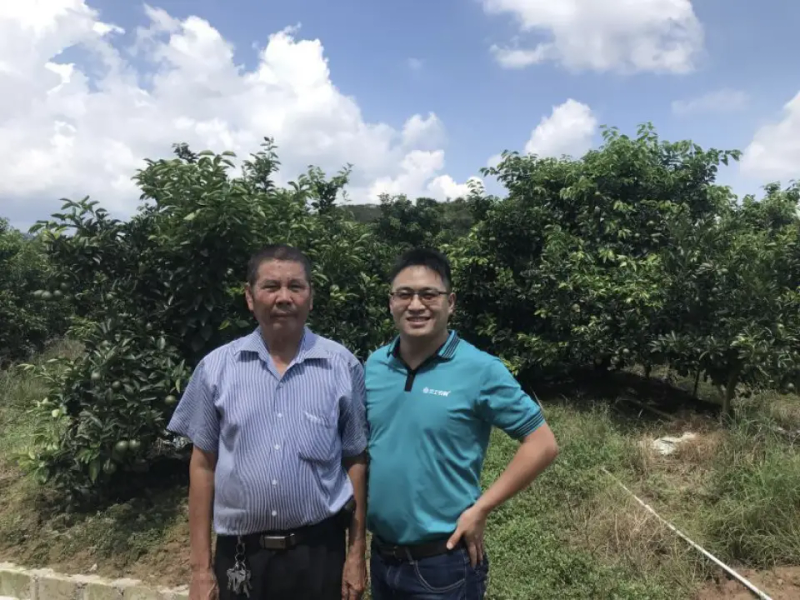 种植技术视频下载