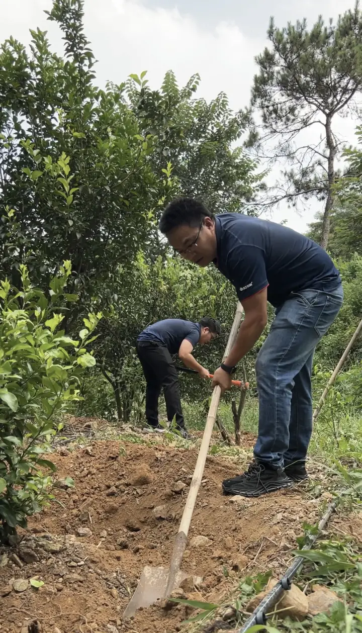 种植技术视频下载