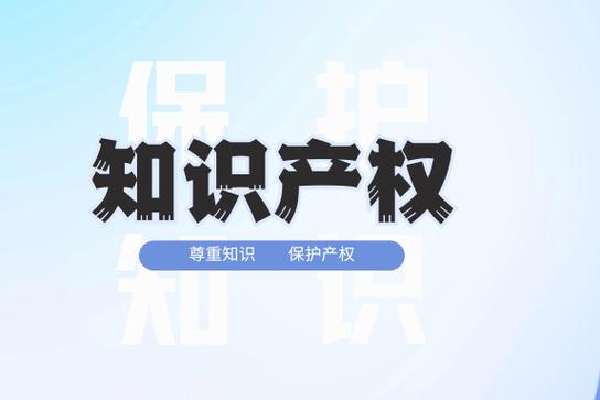 走向知识经济时代的知识产权法