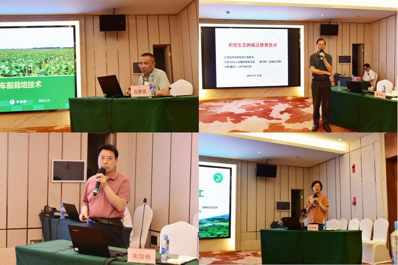 中药材种植技术研究所